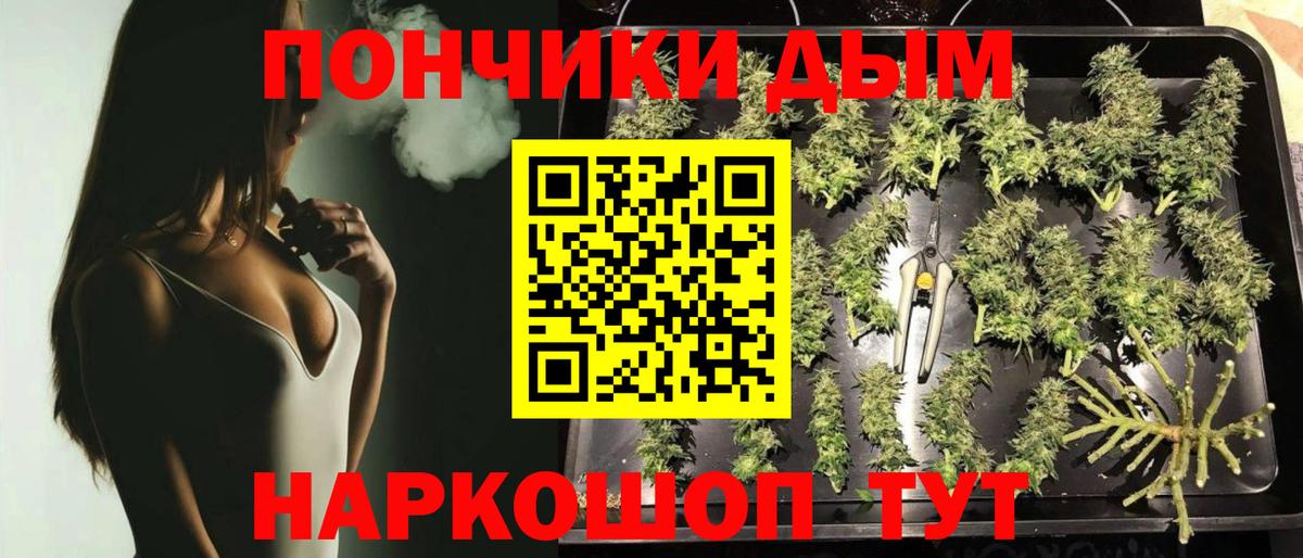 Шали  Бошки Шишки White Widow  Бошки Шишки SATIVA & INDICA  Каннабис план  Вход с VPN 